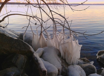 The grasp of fall - November 2012 - Madison, WI, USA