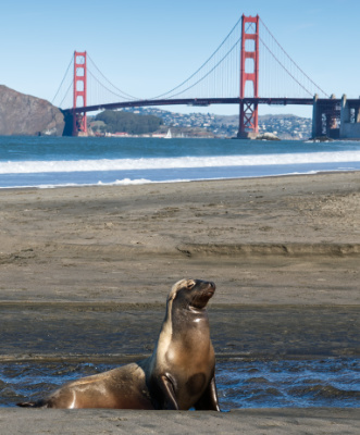 Peaks - December 28, 2018 - San Francisco, CA, United States