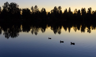 Como Lake - August 31, 2017 - Coquitlam, BC, Canada