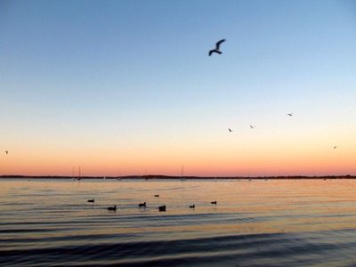 Goodbye, day - October 11, 2014 - Madison, WI, USA