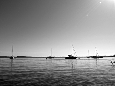 Sailboats on Lake Mendota - May 23, 2015 - Madison, WI, USA